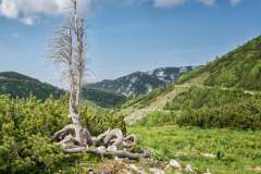 201804592_10220709656036192_3586686275619383461_n