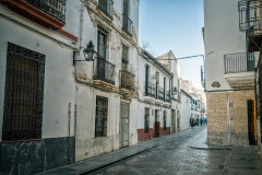 anda460