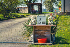 Hundetankstelle