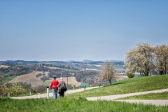 Wanderung-Scharten