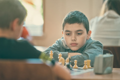 ju-48