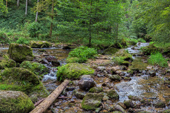 Flusslandschaft