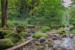 Pesenbach