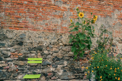 jul-1-von-1-129