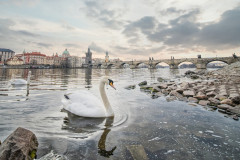 Prag-1-von-1-76l