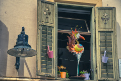 Bozen11