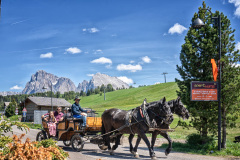 Seiseralm14