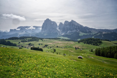 Seiseralm4jpg