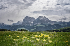 Seiseralm9